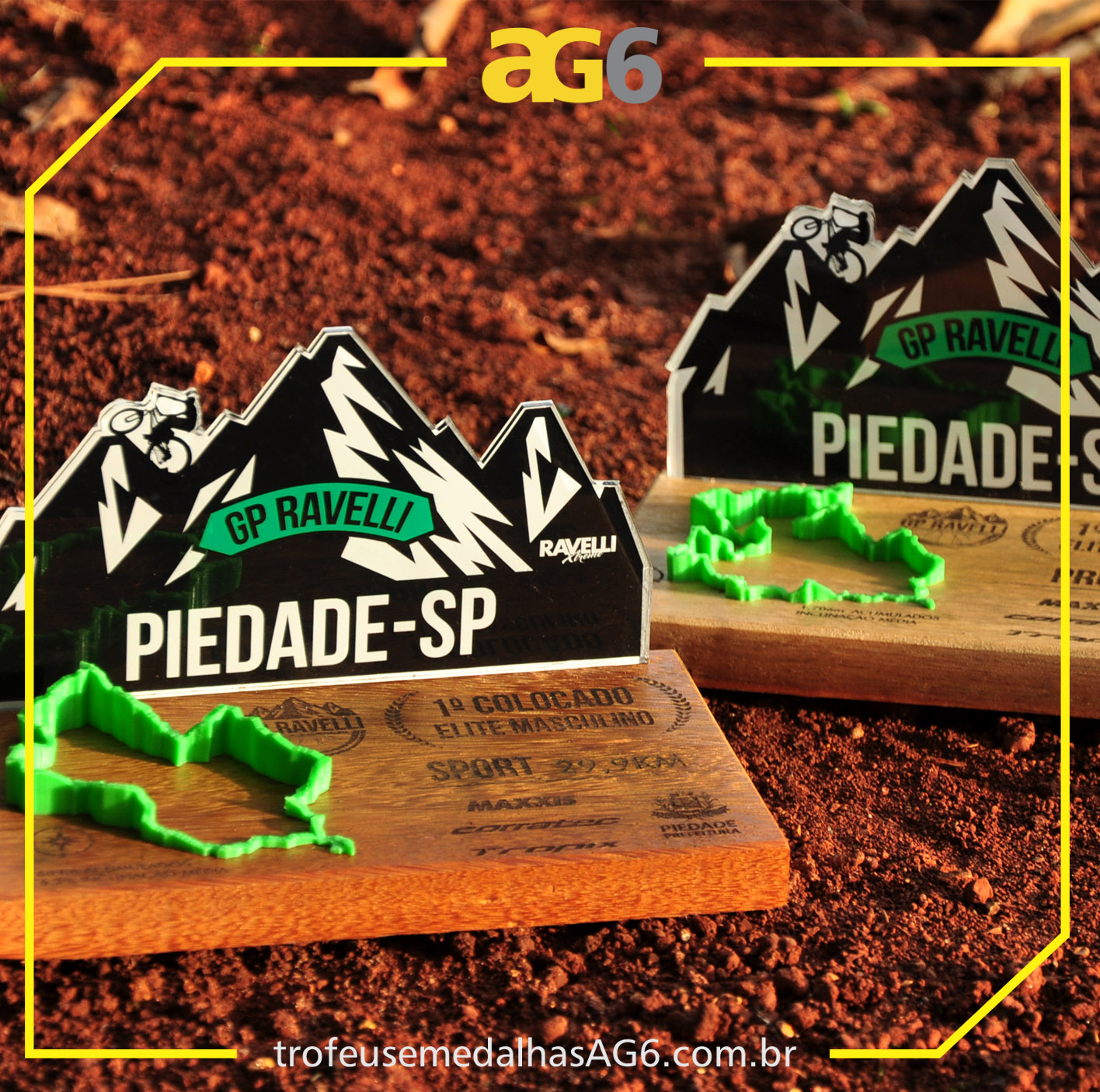 Troféu 3D Interativa